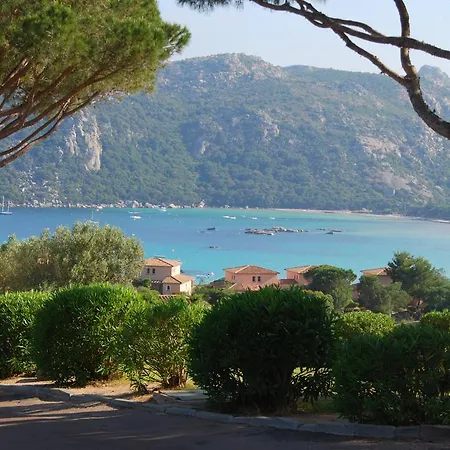 Mini Santa فيلة *